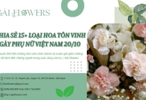 Chia sẻ một số loài hoa tôn vinh ngày Phụ Nữ Việt Nam 20/10 | Gái Flowers Chia sẻ một số loài hoa tôn vinh ngày Phụ Nữ Việt Nam 20/10 | Gái Flowers