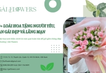 10+ Loài hoa tặng người yêu, bạn gái đẹp và lãng mạn được yêu thích | Gái Flowers