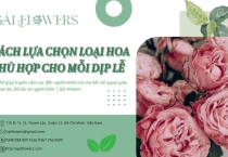 Cách lựa chọn loại hoa phù hợp cho mỗi dịp lễ | Gái Flowers