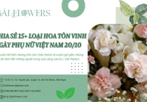 Chia sẻ một số loài hoa tôn vinh ngày Phụ Nữ Việt Nam 20/10 | Gái Flowers