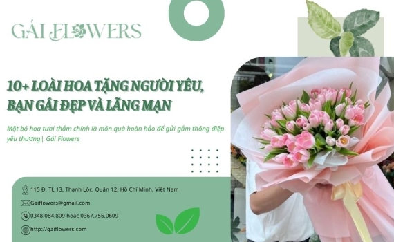 10+ Loài hoa tặng người yêu, bạn gái đẹp và lãng mạn được yêu thích | Gái Flowers
