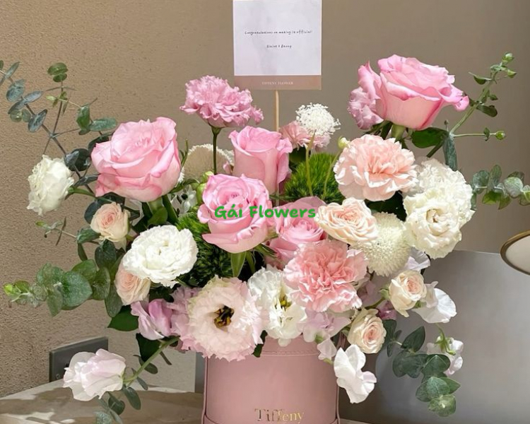 Hồng Mềm Mại - GF2