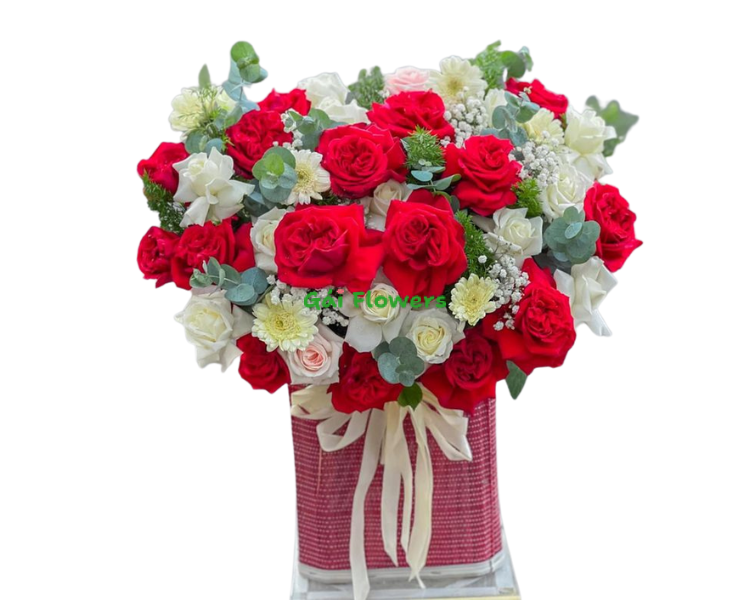Happy-GH10