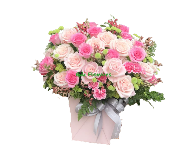 Wonderful-GH11